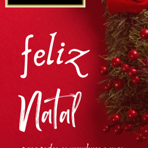 Opção 1 – Story Feliz Natal Árvore e Luzes